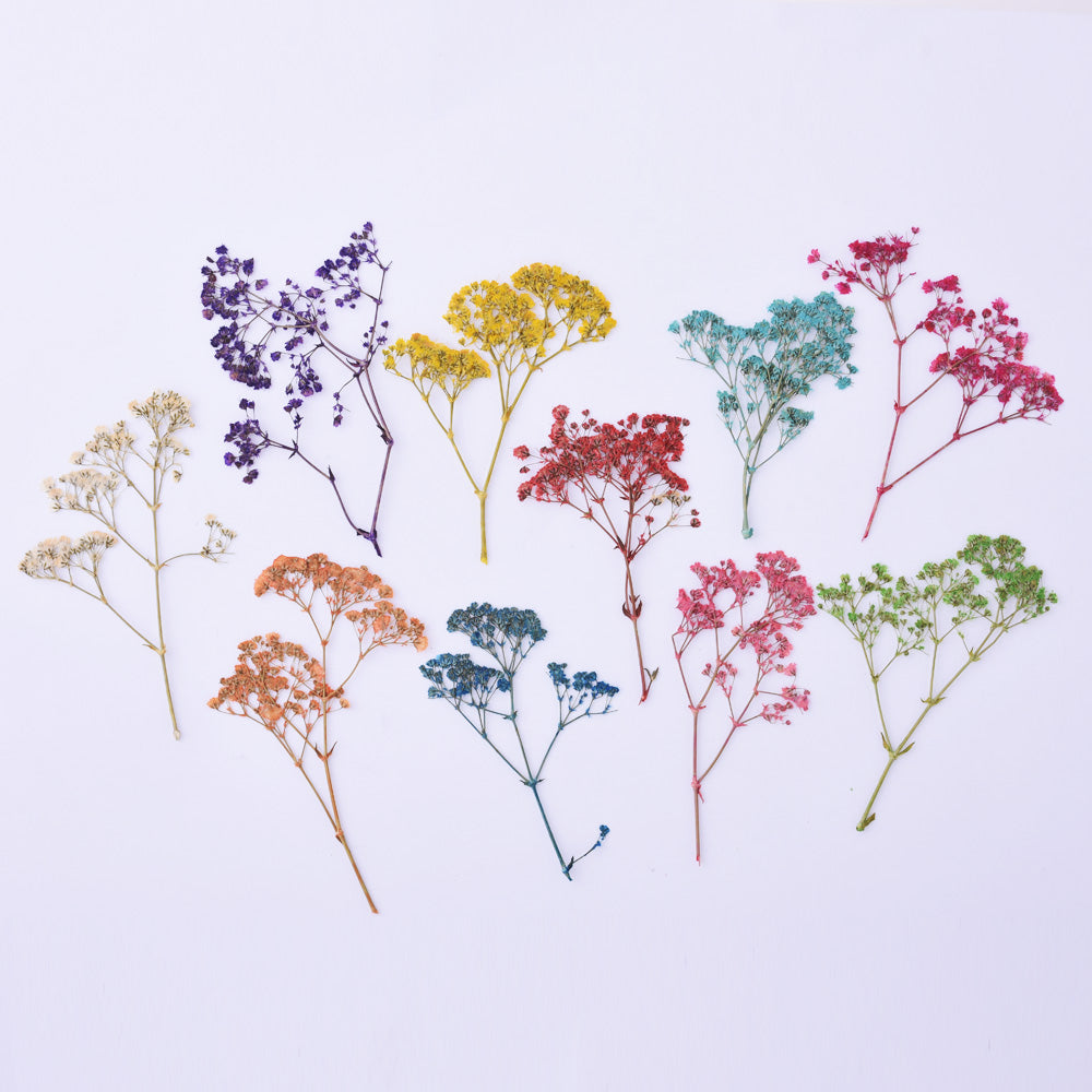 Natural dried flowers