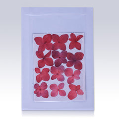 12pcs Dried Real Pressed Flower Stickers dyed pressed flower for phone case,paper goods