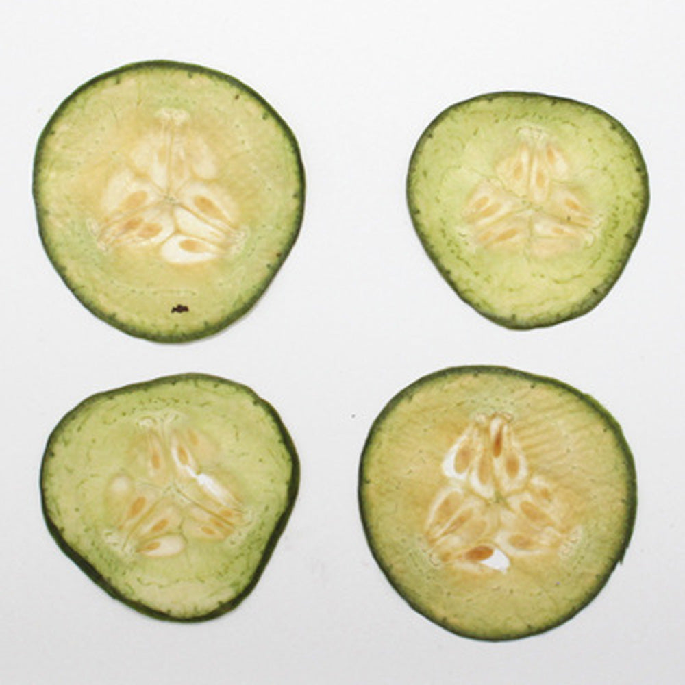 Dried vegetables Slices Real Nature specimen diy phone case Jewelry supplies 1pcs 102279