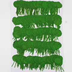2-3.5CM Pressed Penny Grass Leaf Real Flower dried flowers Pressed Flower Gift 12pcs 102289