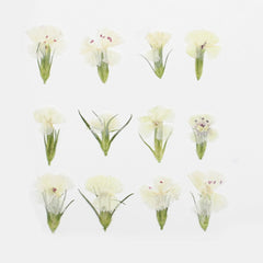 1.5-3CM Pressed pink Dried flower natural Floral Jewelry diy earrings pendant bracelet 12pcs 102292