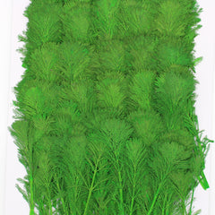 4-7cm Real natural Mini pine tree Dried Pressed Flowers for Crafting Pressed plants Gift 6pcs 10229350