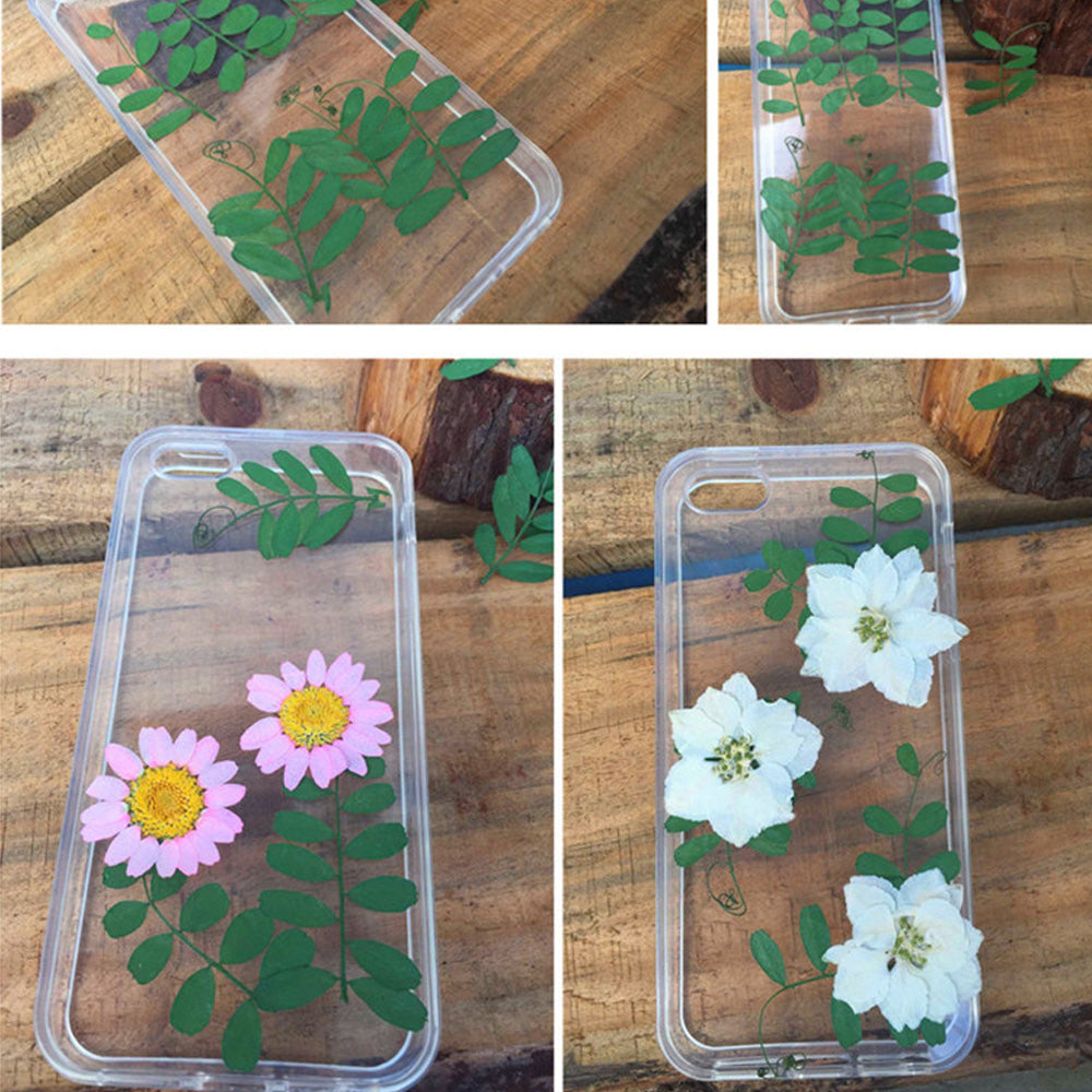 2.5-3.5cm Real flowers Chrysanthemum paludosum Dried Pressed Flowers Gift for nature lovers 6pcs