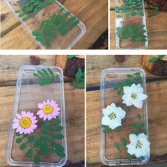 2.5-3.5cm Real flowers Chrysanthemum paludosum Dried Pressed Flowers Gift for nature lovers 6pcs
