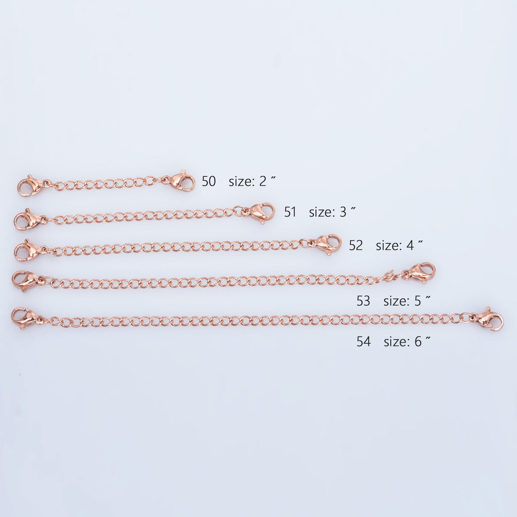 Stainless Steel Double Lobster Clasps Extension Chain 2