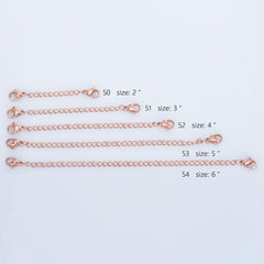 Stainless Steel Double Lobster Clasps Extension Chain 2