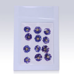 12pcs Dried Real Pressed Flower Stickers dyed pressed flower art  Nature jewelry