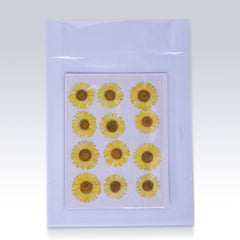 12pcs Dried Real Pressed Flower Stickers dyed pressed flower for phone case,paper goods