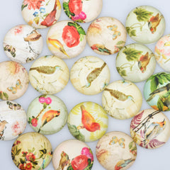 25MM Round Pattern flat-back Glass cabochon,one style multi photos,Birds and Flower,20 pieces/lot