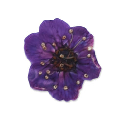 20pcs Dried Real Pressed Flower Stickers dyed pressed flower for phone case