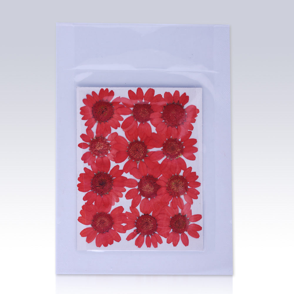 12pcs Dried Real Pressed Flower Stickers dyed pressed flower for phone case