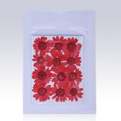 12pcs Dried Real Pressed Flower Stickers dyed pressed flower for phone case